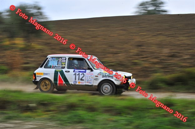 DSC_0800.JPG
